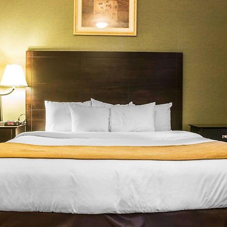 Comfort Inn Whitehall Near Michigan'S Adventure Luaran gambar