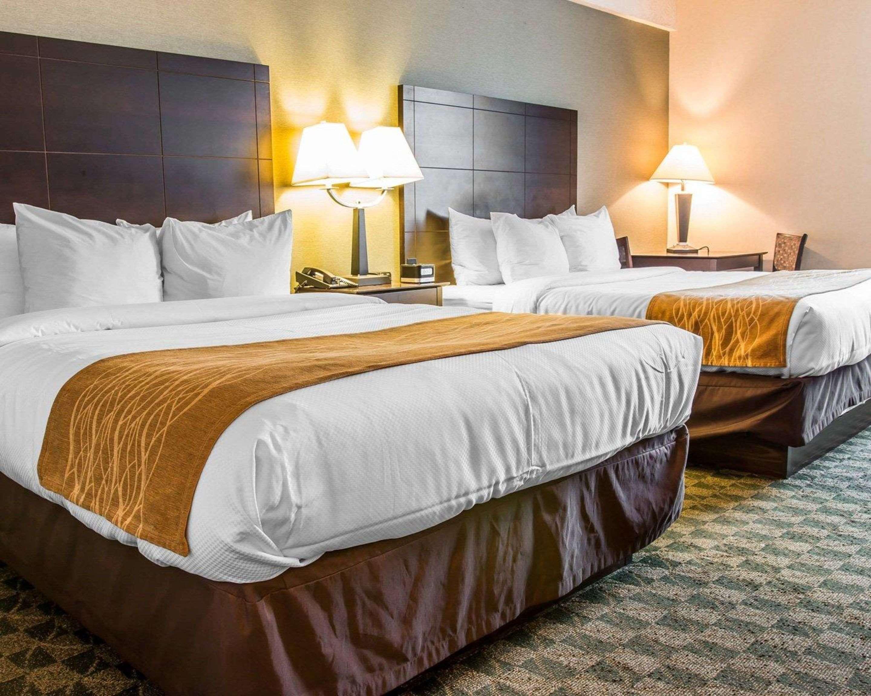 Comfort Inn Whitehall Near Michigan'S Adventure Luaran gambar